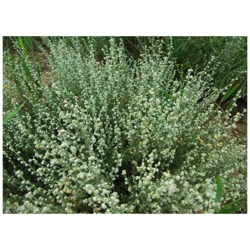 ������ ������ ������ ������ ������ �������� 200 ��. ����