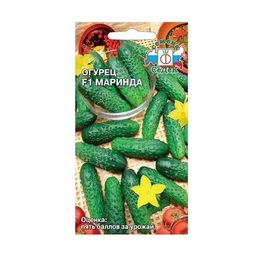 ������ ������ ������ ������ ����� ������� F1 ����