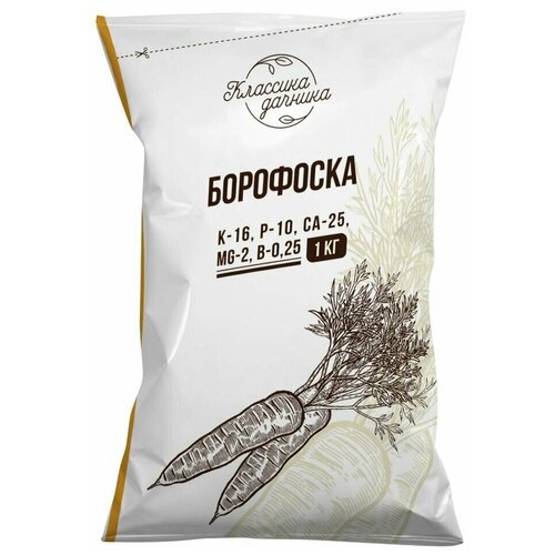 ������ ������ ��������� ��������� 1 �� ����