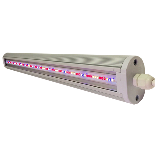 ������ ������ FitoLED Combo ����������������� 74��, 1 ��., ����������� ����