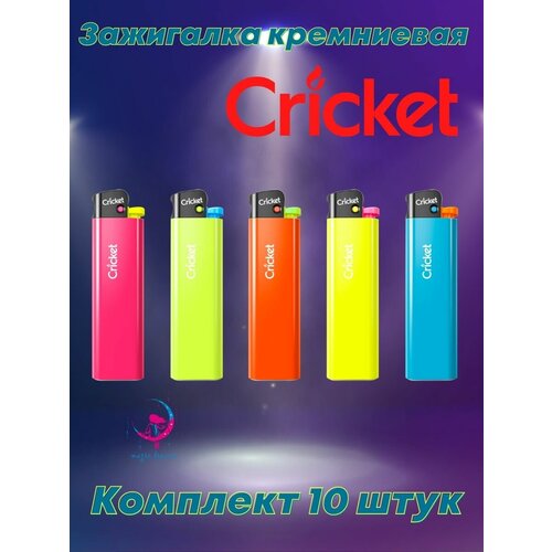     Cricket Fluo  10    -     , -,   