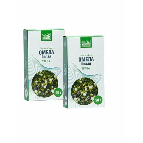 ������ ������ ����� �����, ������������� 