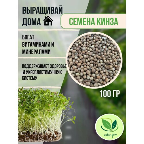 ������ ������ �����. ����� �����������. ������ ��� ������������ ����