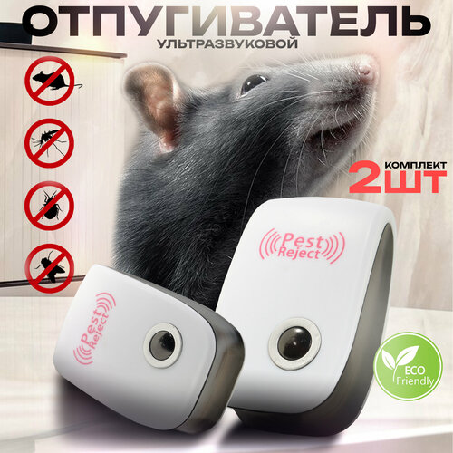 ������ ������ ������������ ��������������, 2 �� ����