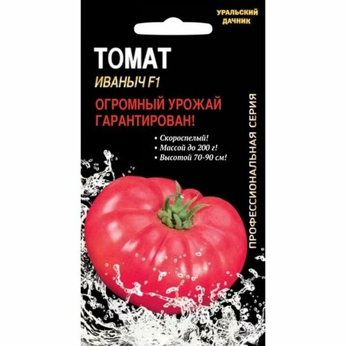 ������ ������ ������ ����� ������ F1 (�����������), �����������, ���� 12�� ����