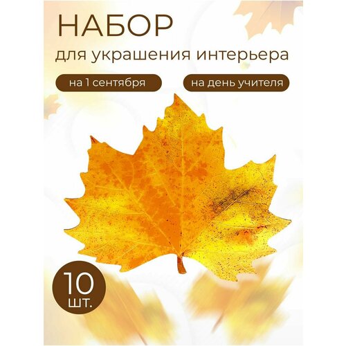 ������ ������ ������� ����� ���� �������� 