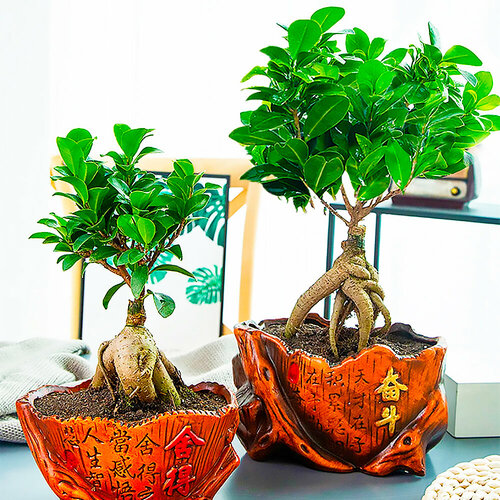 ������ ������ ����� ���������� ������, ������, 30 �� ����