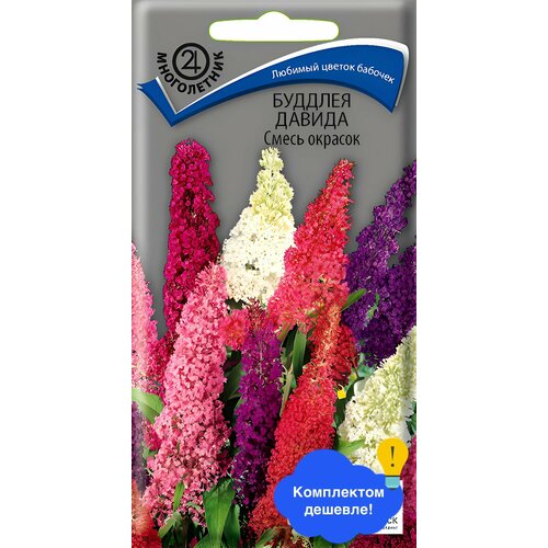 ������ ������ ����� ������� ������ ����� ������� ����