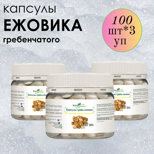 ������ ������ ������ ���� ����������� � �������� ����-��������, ����������� ������� ������� 100 ��*3 �������� ����