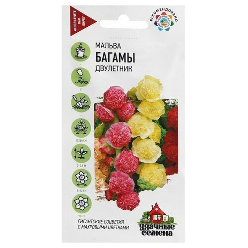 ������ ������ ������ ������ ������ 