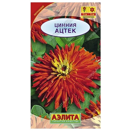 ������ ������ ������ 