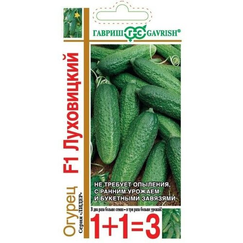 ������ ������ ������ ���������� F1 ����� 1+1 (20 �����) ����