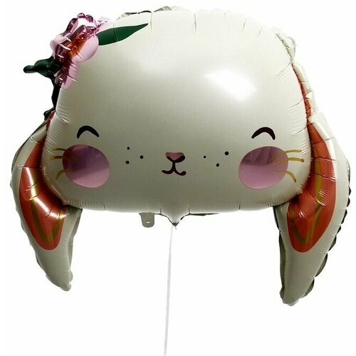 ������ ������ ��� �������������� 26