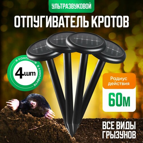 ������ ������ ������������ �������������� �� ��������� ������� �� ������, �����, ���������, ����, 4��. ����