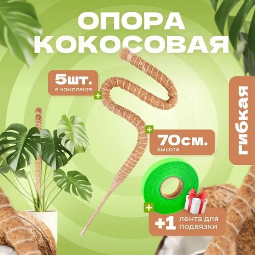 ������ ������ ��������� ����� ��� �������� ������, 70��, 5�� ����