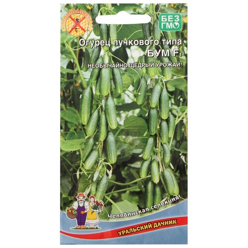 ������ ������ ������ ��������� ������ ������ ��������� ���� ��� F1 5 �� ����