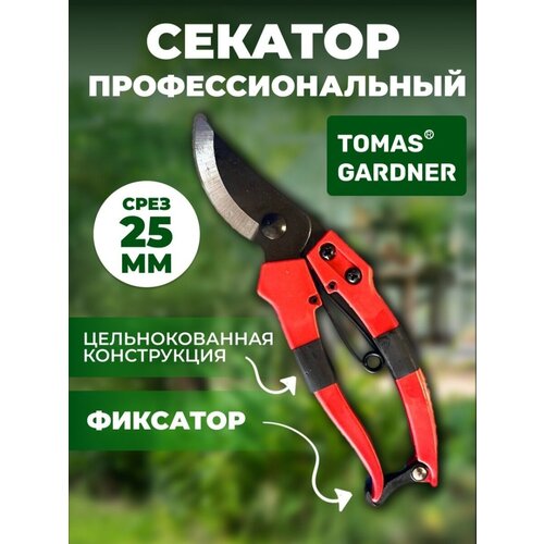 ������ ������ Tomas Gardner ������� ������� ����������������, ������� ����