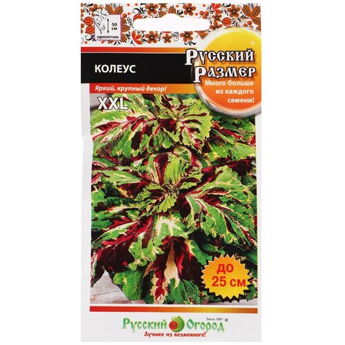 ������ ������ ������ ������ ������, ����� ������� ������, 4 �� 5431536 ����