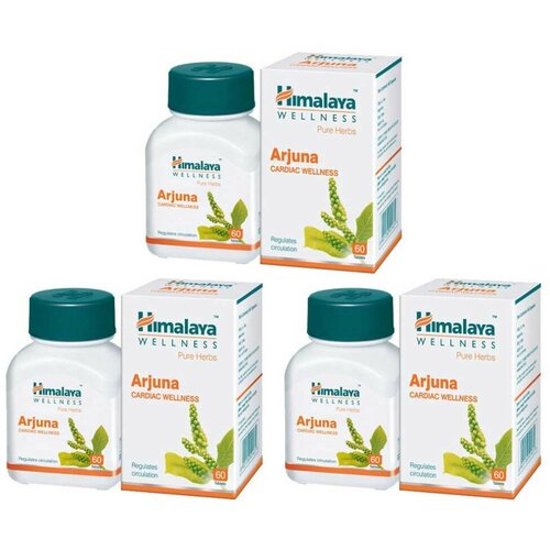      (Arjuna Himalaya)  ,   , 360 .   -     , -,   