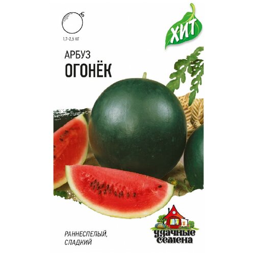 ������ ������ ����� ������ 1 �����, ������� ������ ����