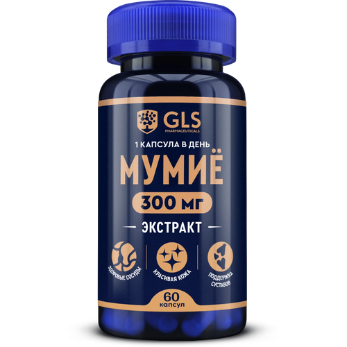 ������ ������ ���� �������� ����., 0.4 �, 60 ��. ����