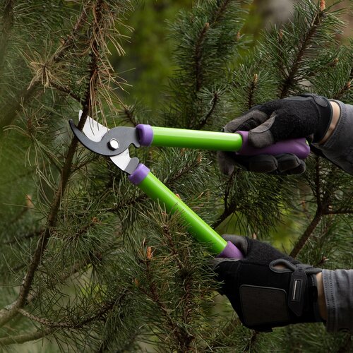 ������ ������ �������� PALISAD �������� ������������ ��������, 60568 350 ����