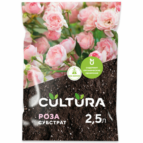    2,5 Cultura   -     , -,   