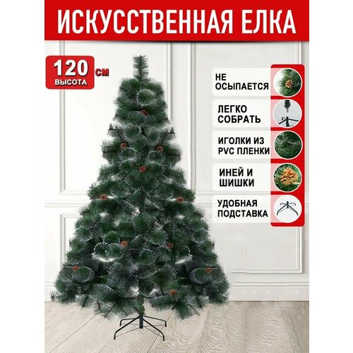 ������ ������ ���� ������������� ����