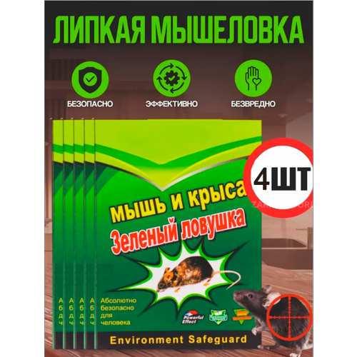 ������ ������ ��������� ������ ��� �����, ������� ��� ���� � �����, 4 ���� ����