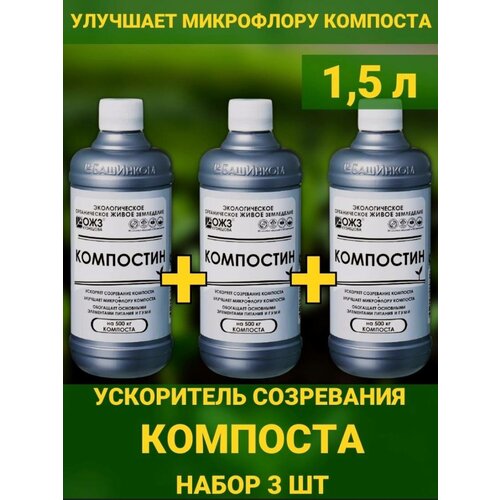 ������ ������ ���������, 1,5� ���������� ���������� �������� ����