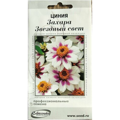 ������ ������ ����� ������ �������� ����, ����� ��� ������ ������� ������ ��� ��������� ���� � �������, 7 ����� ����