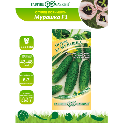 ������ ������ ������ ������ ������ �� ������ ������ F1 ������� 10 ��. ����