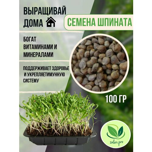 ������ ������ ������, ������ �����������. ������ ��� ������������. ����