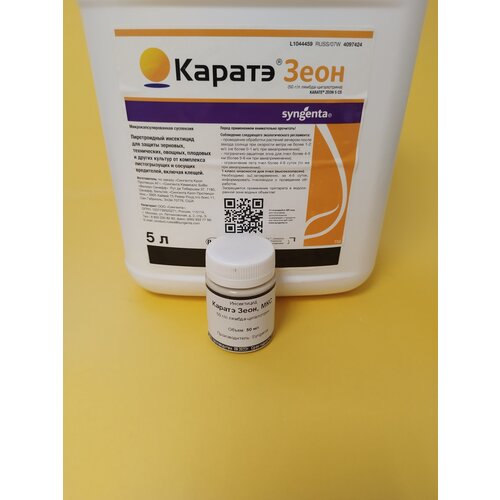 ������ ������ ���������� ������ ���� �� ���������-���������� 50 �� ����