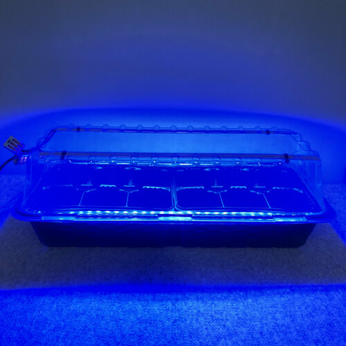 ������ ������ ������ ��� ������ � ������� � ���������� ������ ������ �� 12 ������� ����� ����