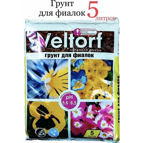 ������ ������ ����� ��� ������ 5 � ����