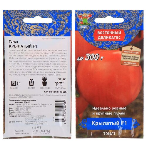 ������ ������ ������ ����� ��������� ��������� ����� �������� F1 10 ��. ����