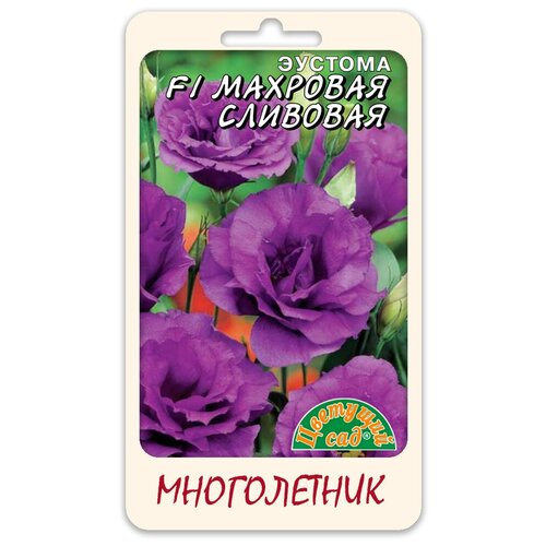 ������ ������ ������� �������� �������� F1 5�� �������� ��� ����