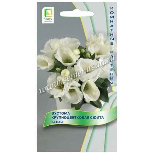 ������ ������ ������ ������� ��������������� ����� ����� ����� 5 �� ����