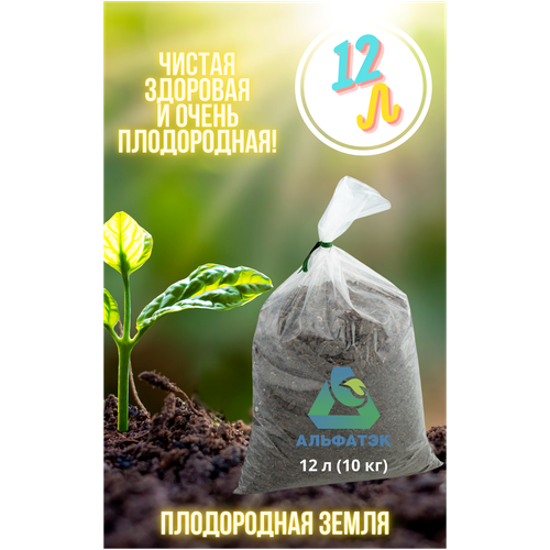 ������ ������ ����������� �����, Alfatek, 12 � (10 ��) ����