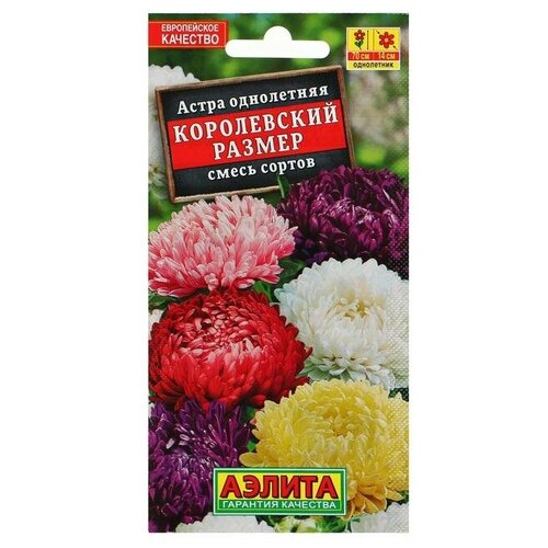 ������ ������ ������ ������ ����� 