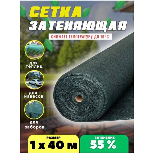 ������ ������ ����� ���������� �������, ��������� 55%, ������ 1�40� ����