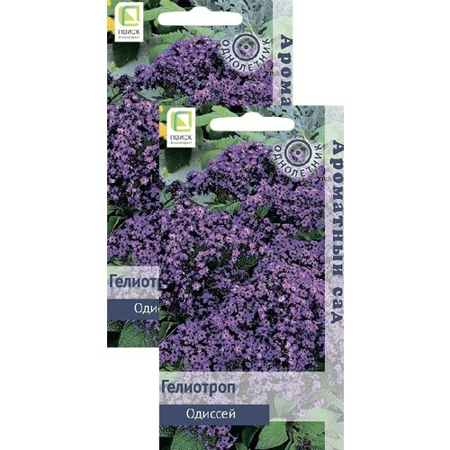 ������ ������ ��������� ������� (0,03 �), 2 ������ ����