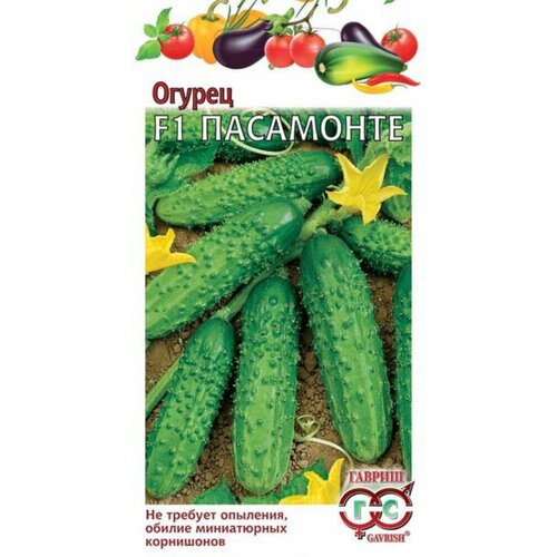 ������ ������ ������ ������ ��������� F1 �������� 0,3� ������������������ ������ (������) ����