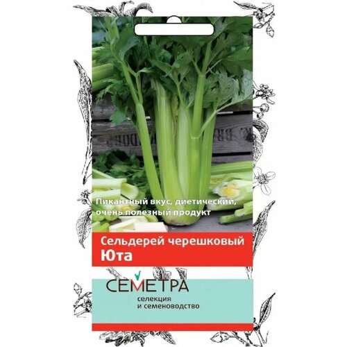 ������ ������ ��������� ���������� 