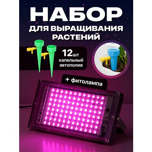 ������ ������ ��������� ����� ��� �������� ���������������� Ocean of Light, ��������� ��� ��������� �������� 12 �� ����