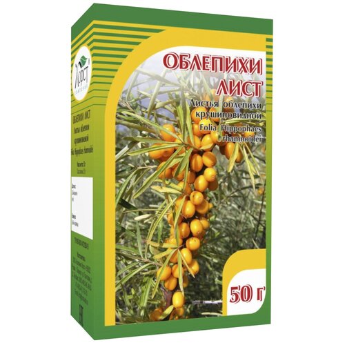 ������ ������ ����� ������ �������� ����