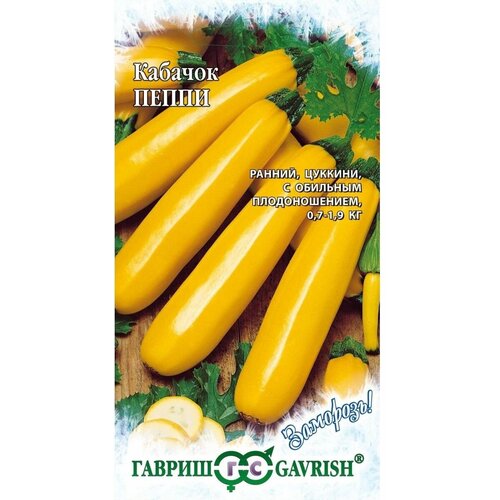 ������ ������ ������� ����� ����