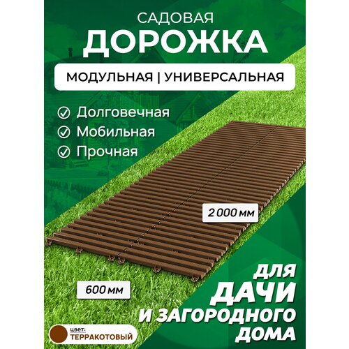 ������ ������ ������� ������� 2 � ������ 60 ��, ����: ��������� ����