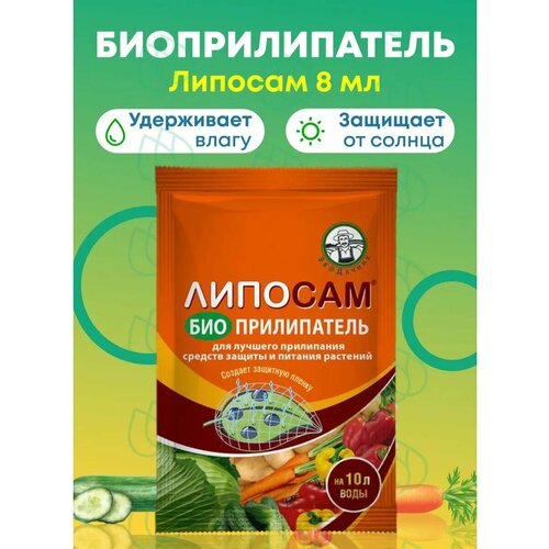 ������ ������ �������������� ������� 8�� ����